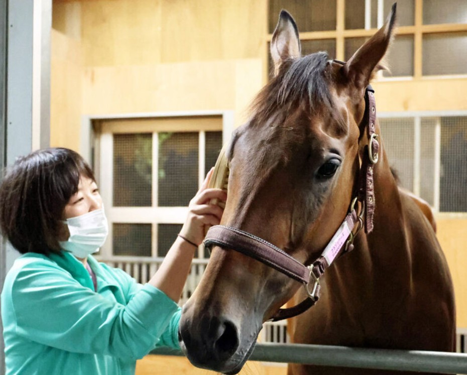 TAITANBAHT's tweet photo. 【競馬】現2歳世代リーディング首位走る新種牡馬エフフォーリア産駒7/11小倉5R1人気馬フランソワーズ逃げ切りＶ産駒牝馬として初白星鞍上松山弘平騎手
★前川厩舎管理馬×松山騎手[2•1•0•0]連対率10割
★瞬発力と軽快なフットワーク父譲り仕上がりも早さも特徴
★中距離戦適正の高さを物語っている https://t.co/lYIrudnh03
