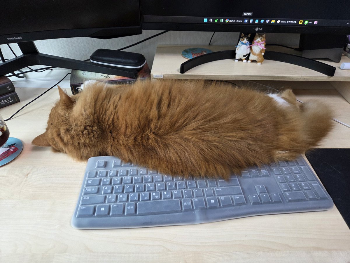 지브로 tweet media