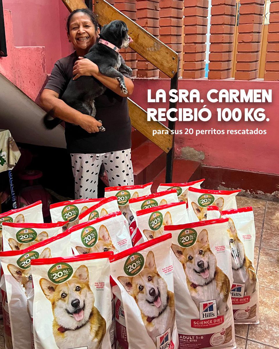 Pao Peralta 🐶 Rescatando Perritos 🇵🇪 tweet media