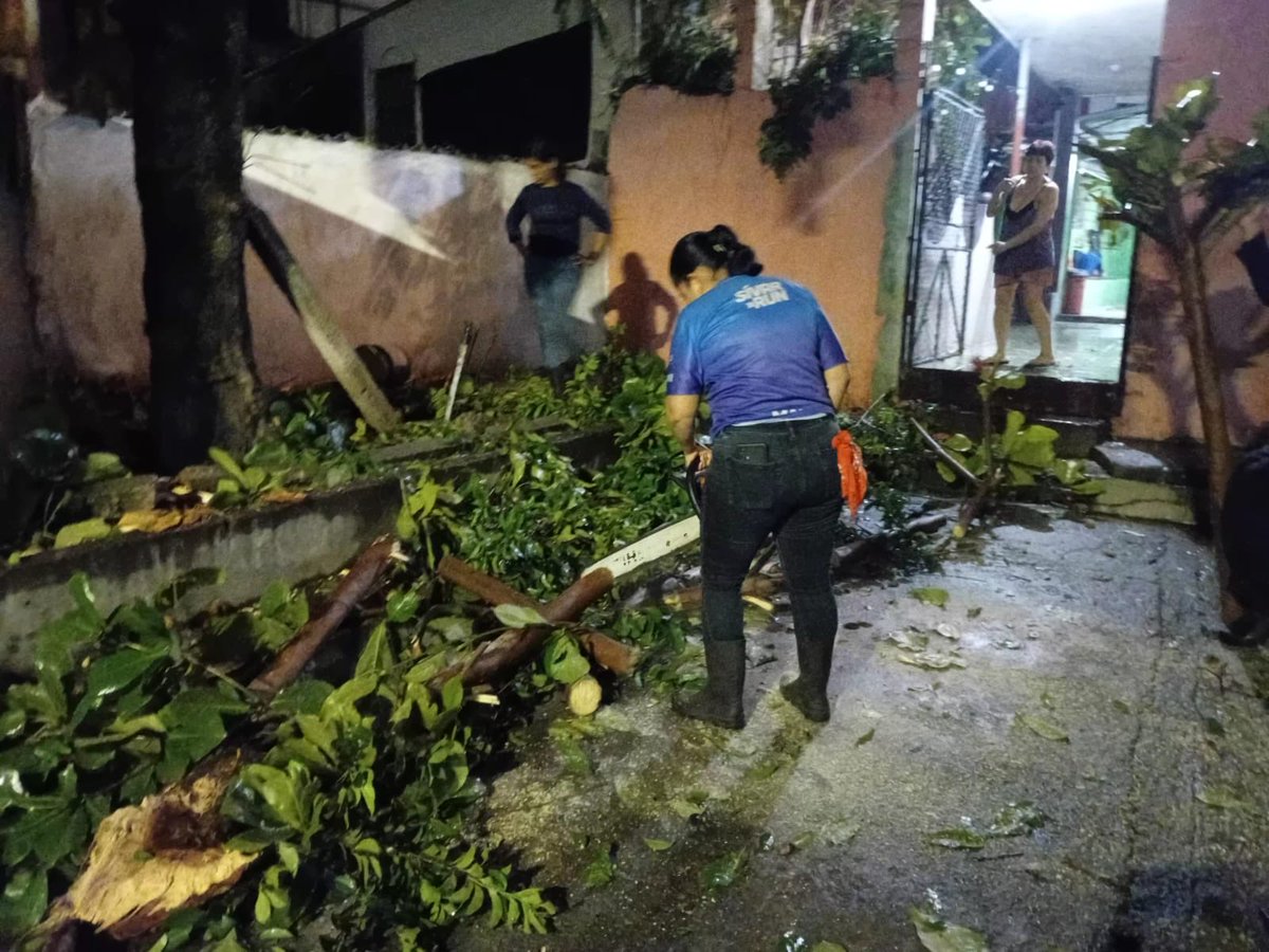 alcaldia_ss's tweet photo. Seguimos en acción.

Nuestras cuadrillas continúan apoyando las labores de tala de un árbol en la comunidad Concepción, Distrito de Mejicanos, para prevenir riesgos y proteger a las familias del sector. https://t.co/dJOfd23xR1