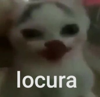 Lz_Army's tweet photo. Mutis ustedes creen que mañana sea el gran dia que DG (Don Güeas) medios hable finalmente? Al borde del desquicio estoy.
#BTSALNACIONAL
#NACIONALPARABTS
#NACIONALFORBTS #RENUNCIADUCO
#BTSCHILE
#BTSESTADIONACIONAL https://t.co/PJsij1XlUO