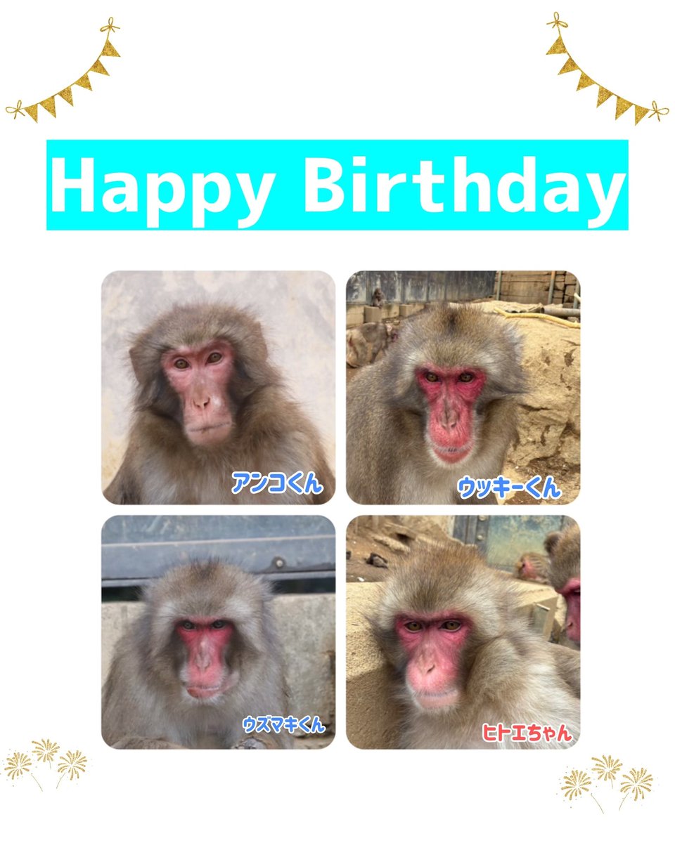 今週のお誕生日一覧〉 4頭のおさるさんがお誕生日を迎えます。 お誕生
