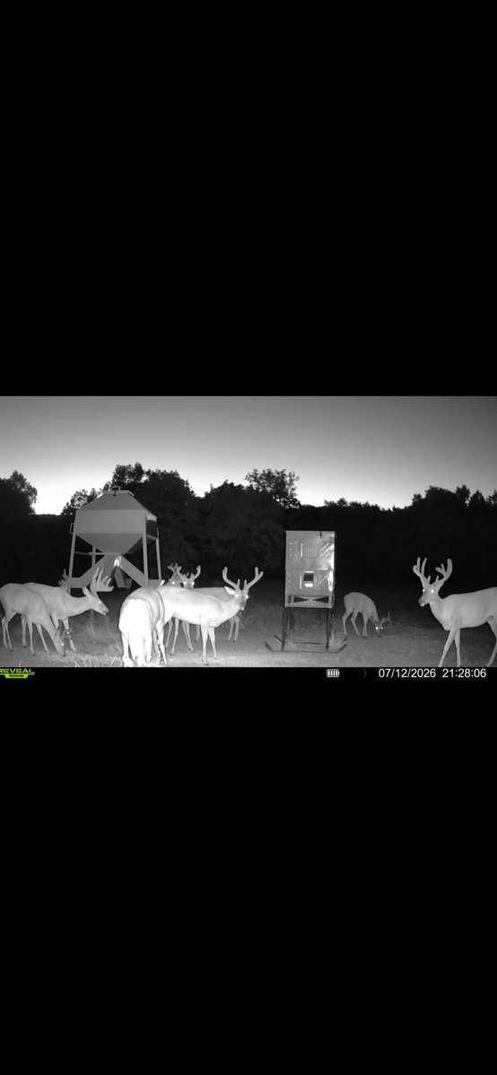 Jonmatlock30841's tweet photo. That’s what
You call a full house! #bigbuck #deer #deerhunting https://t.co/npUBDZho6Y