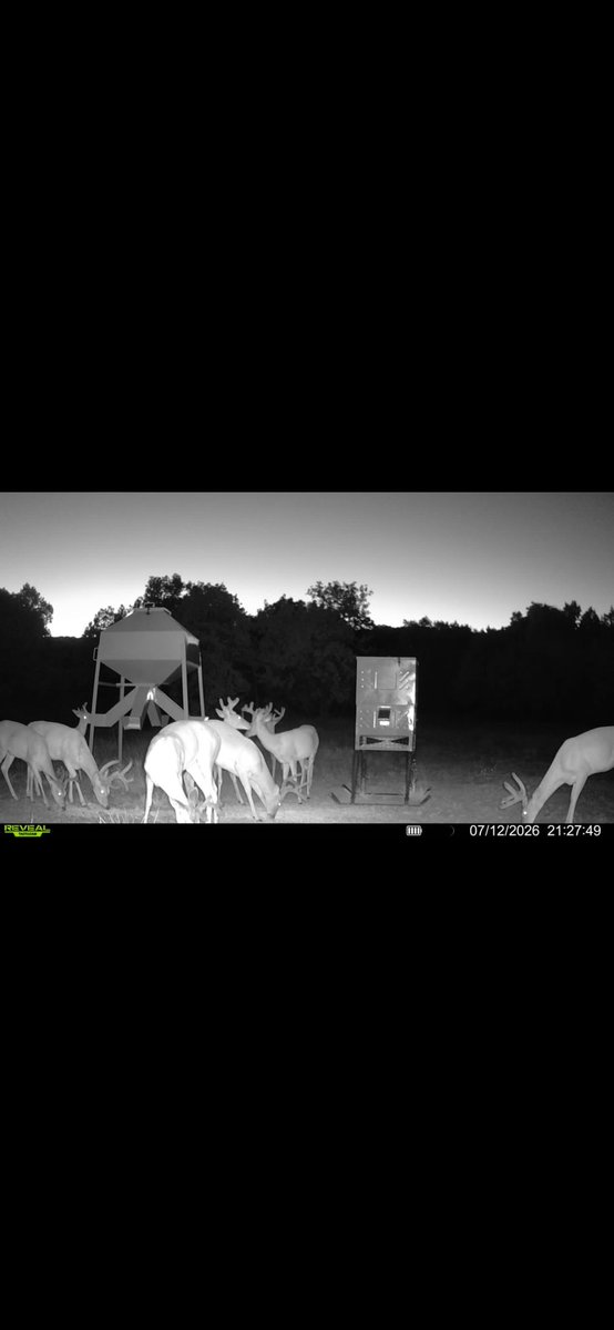 Jonmatlock30841's tweet photo. That’s what
You call a full house! #bigbuck #deer #deerhunting https://t.co/npUBDZho6Y