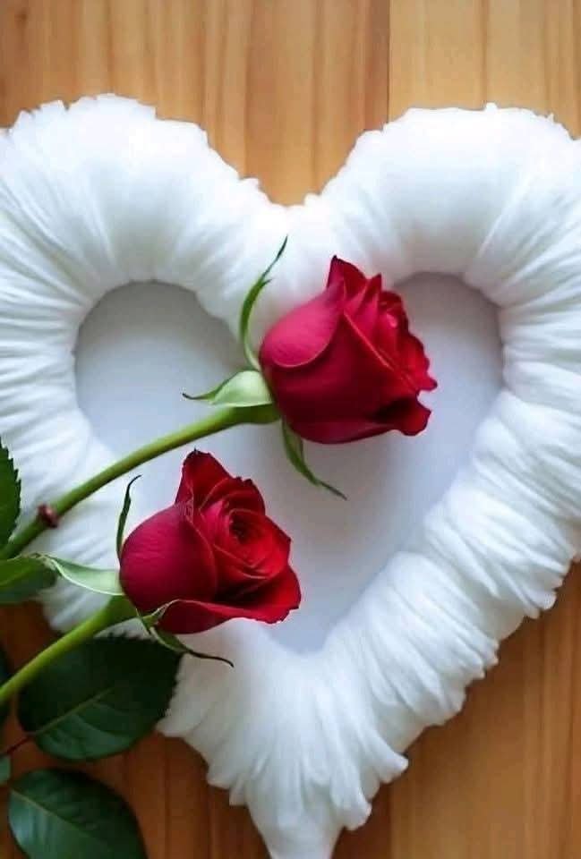 Osman560757's tweet photo. @MildredColnrmy Hello, you are so beautiful, simply amazing! https://t.co/tNd5bSXHvm