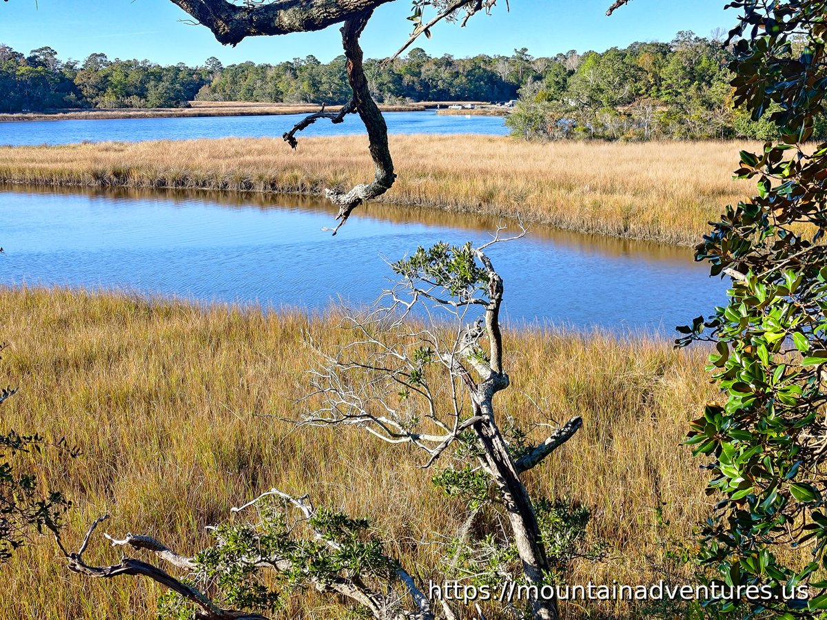 MtnAdvs's tweet photo. Davis Bayou at #GulfIslands National Seashore - Views from the Visitor Center #mississippi #nps Checkout the full photo blog: https://t.co/eFR8HB3LxP https://t.co/CwVlds0slg