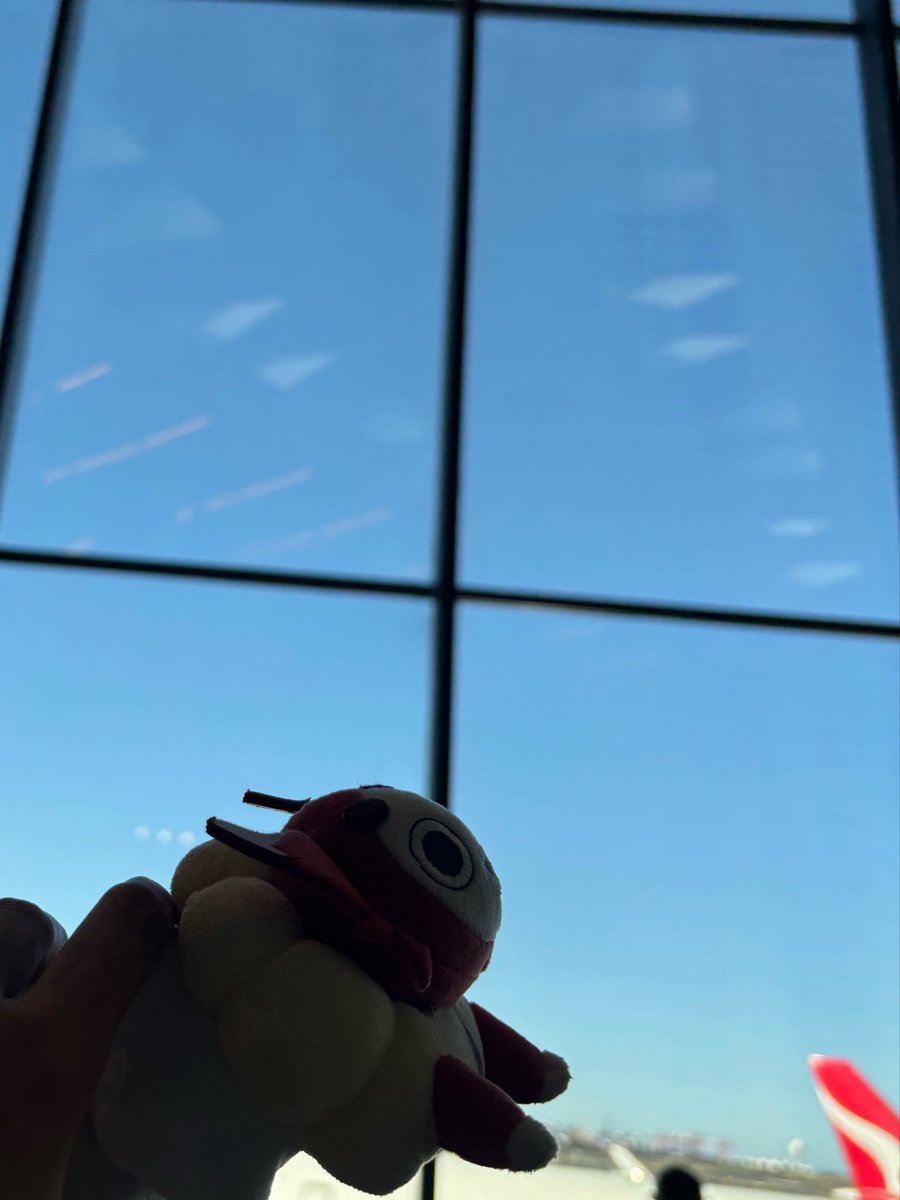 rrrr_ritsu's tweet photo. 仕事無事駆け抜けたので、ご褒美に南米ひとり旅してきます〜✈️ https://t.co/08YC1yFZNI
