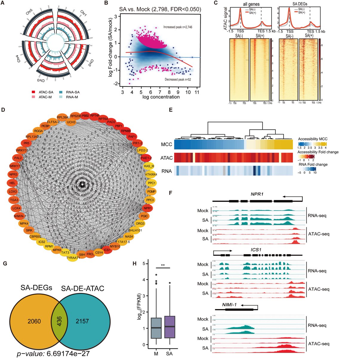 aBIOTECH5's tweet photo. #aBIOTECH_OnlineFirst 🛡️🌱
📚 Chromatin accessibility and histone landscapes define immune signal-specific transcriptional reprogramming in Arabidopsis
🔗https://t.co/5lzlUOzJkM
@ElsevierConnect
@Sciencedirect
#Epigenetics #Arabidopsis #Transcriptome #PlantScience #PlantImmunity https://t.co/UfEn3cL2dk
