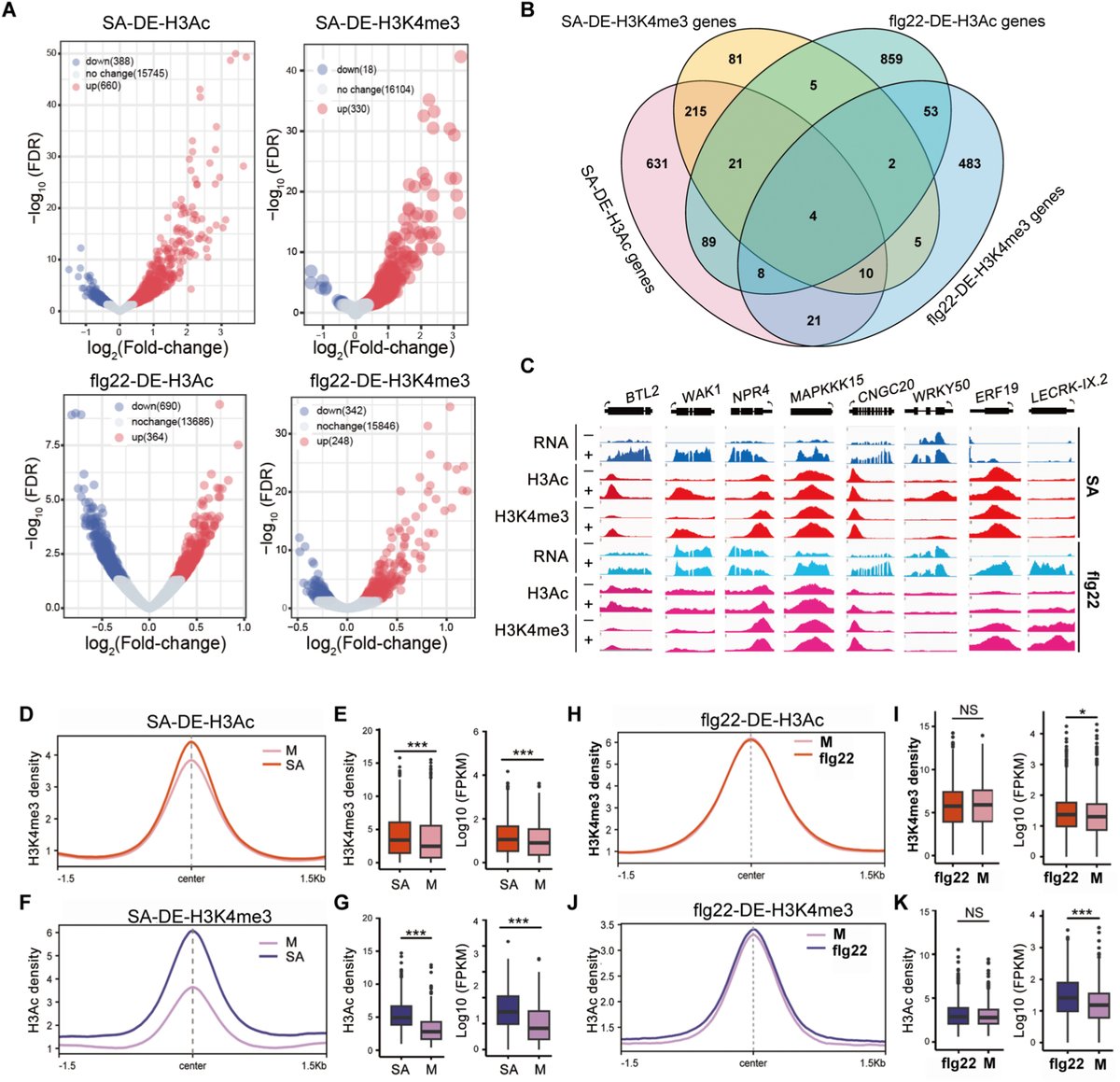 aBIOTECH5's tweet photo. #aBIOTECH_OnlineFirst 🛡️🌱
📚 Chromatin accessibility and histone landscapes define immune signal-specific transcriptional reprogramming in Arabidopsis
🔗https://t.co/5lzlUOzJkM
@ElsevierConnect
@Sciencedirect
#Epigenetics #Arabidopsis #Transcriptome #PlantScience #PlantImmunity https://t.co/UfEn3cL2dk