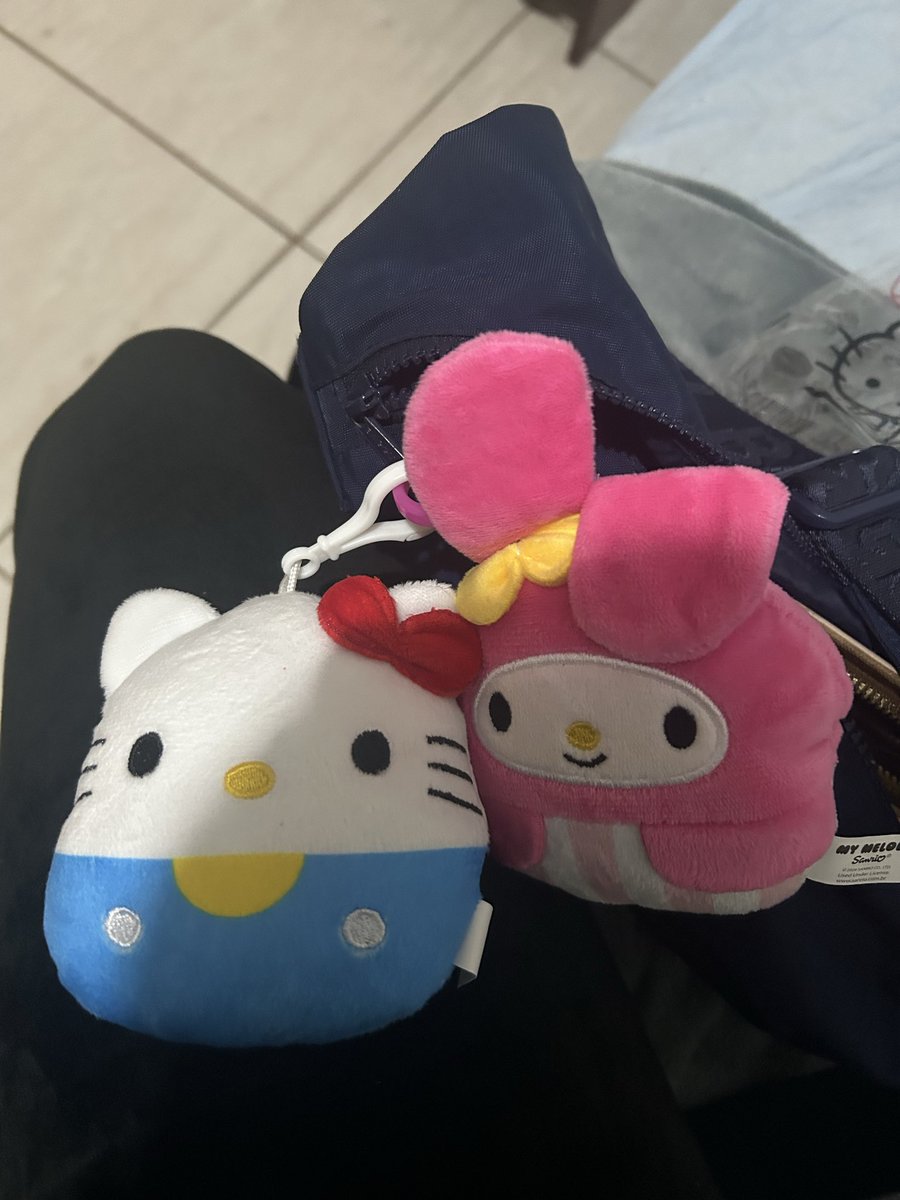 stpxy_'s tweet photo. você não está mais sozinha my melody https://t.co/gIRSDTwKIS