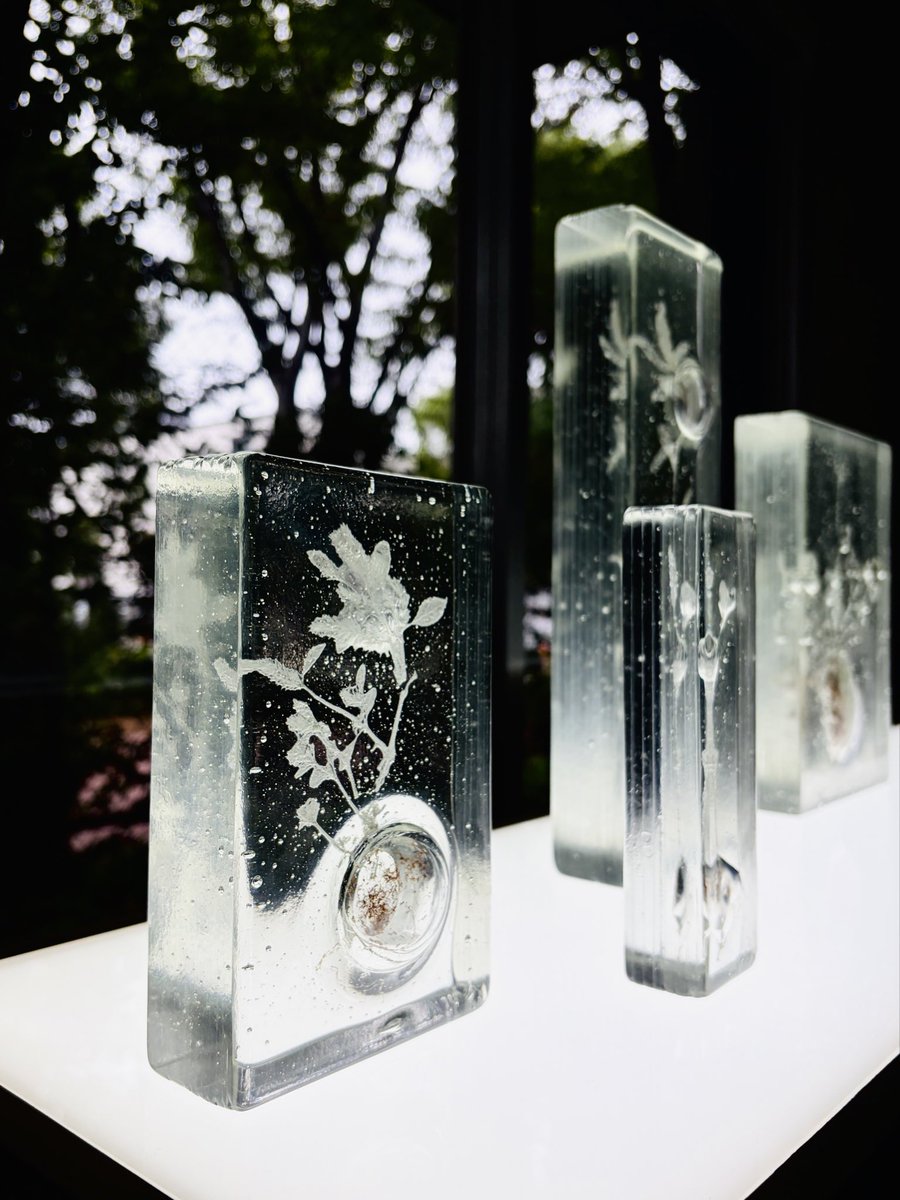 exitsegawa's tweet photo. 代々木上原のNomadic Galleryで、佐々木類 「Unseen in the Seen — 透明な気配」
8月2日(日)まで。月火休廊

佐々木類さんの作品、ずっと観たいと思ってた。現実の作品はどうなんだろうと。想像以上の素晴らしさだった。写真には、収まらない気配 https://t.co/hhJUqrwwkg
