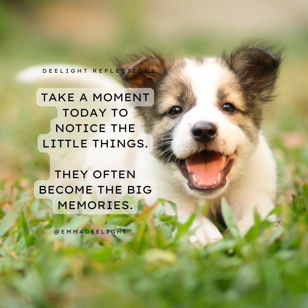 DeelightEmma's tweet photo. What's one thing that's made you smile today?
#SundayVibes #Gratitude #SimpleMoments #WeekendJoy #SundayThoughts https://t.co/8BAuGpDhyW