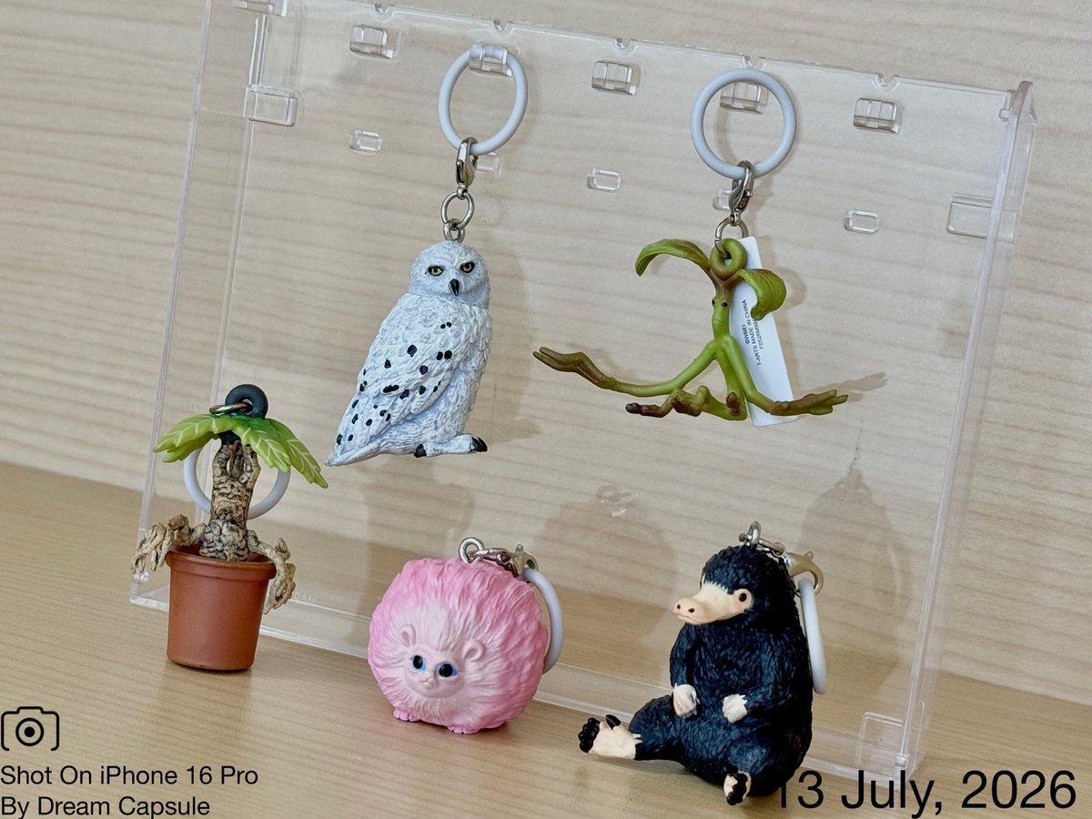 dreamcapsuleCEO's tweet photo. 🌟新入荷ガチャ商品プレゼントCP🌟

魔法生物たちがめじるしマスコットに🪄
「ハリー・ポッター 魔法生物 めじるしガチャマスコット」

フォロー&amp;RP(RT)していただいた方の中から抽選で2名様に全5種セットをプレゼント🎁
ドリカプへの入荷日とキャンペーン詳細は↓

#ドリームカプセル #ガチャ専門店 https://t.co/GUzVh0joXy
