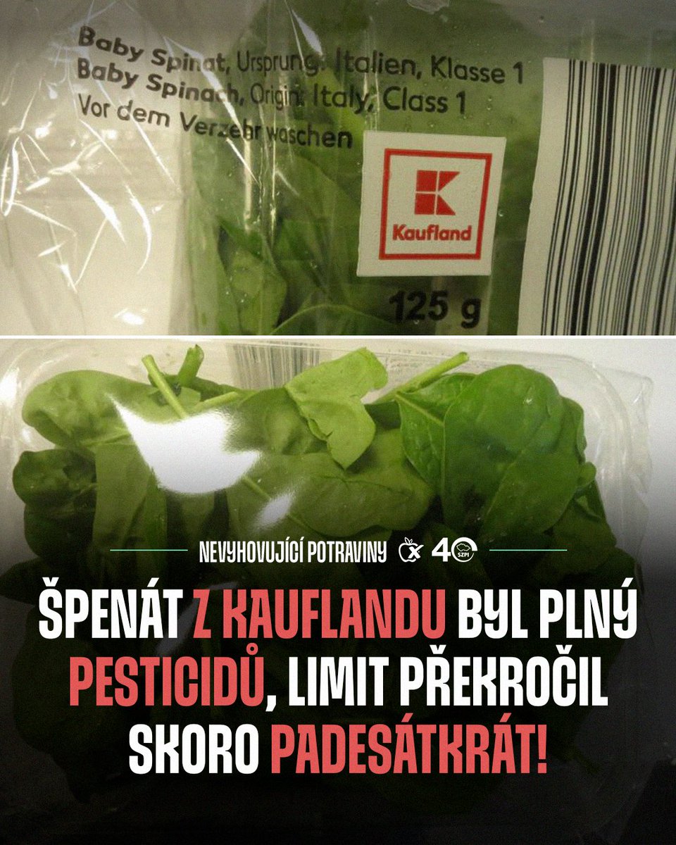 NaPranyri's tweet photo. 🥬 Špenát z Kauflandu byl plný pesticidů, limit překročil téměř padesátkrát

➡️ Více informací o zjištění:
https://t.co/BerN3nevcA

#napranyri #potravinynapranyri #potraviny #kaufland #spenat #italie https://t.co/PB2CayVNdN