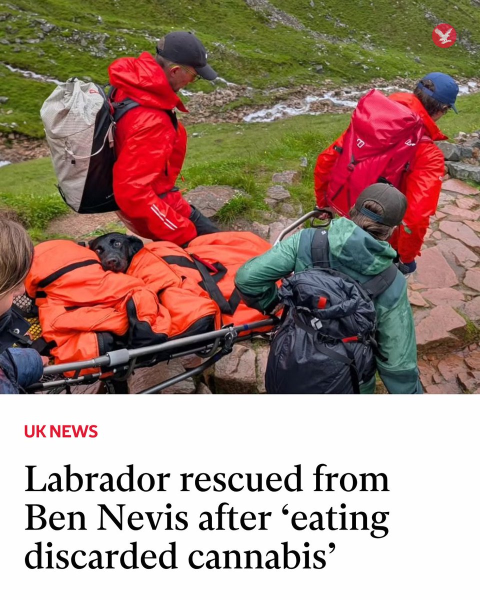 The Independent tweet media