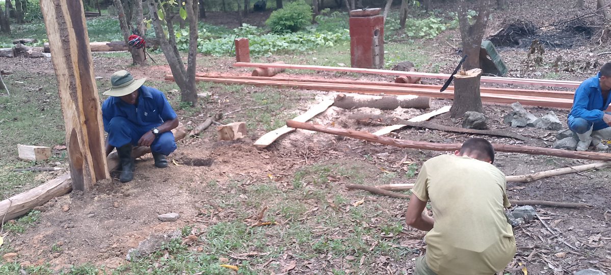 RMSanctiSpiritu's tweet photo. Jóvenes espirituanos trabajan en función de la alimentación del personal.
#FARCuba https://t.co/LMYh2ceHTY