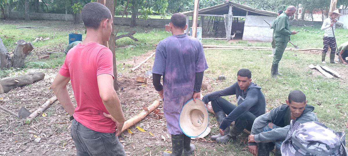 RMSanctiSpiritu's tweet photo. Jóvenes espirituanos trabajan en función de la alimentación del personal.
#FARCuba https://t.co/LMYh2ceHTY