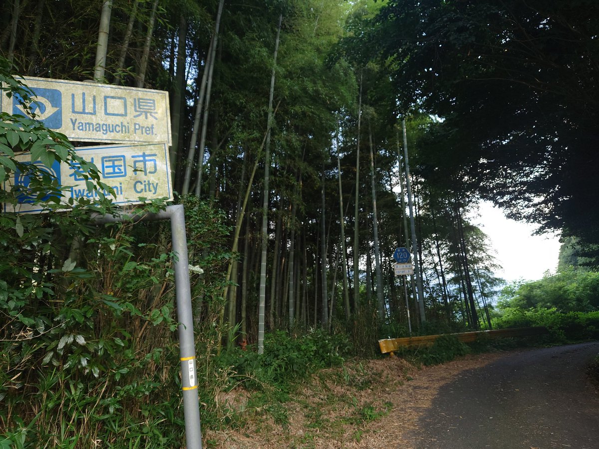 watanabe_ptr's tweet photo. https://t.co/zmLiWoPyh4