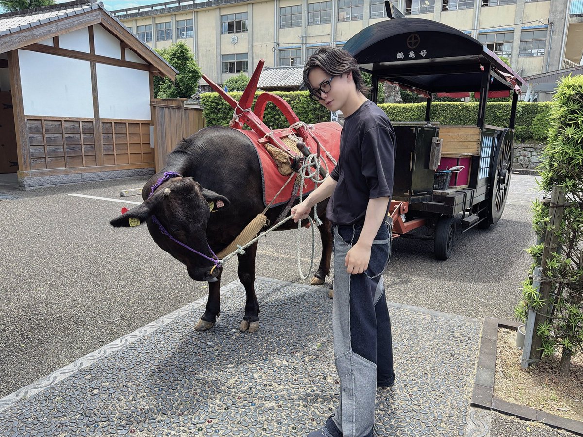 THK_asuna's tweet photo. セロトニンおじさん https://t.co/A6UN7ec0Vw