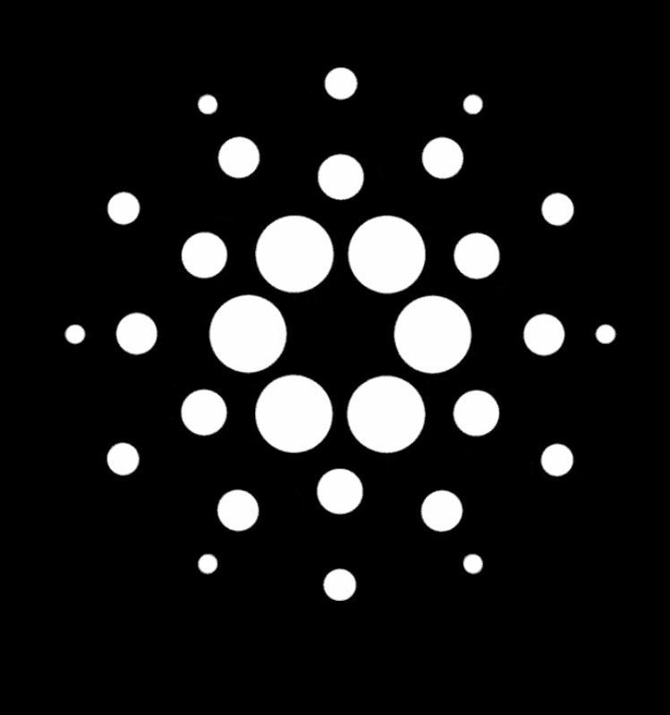 Coin FYP tweet media