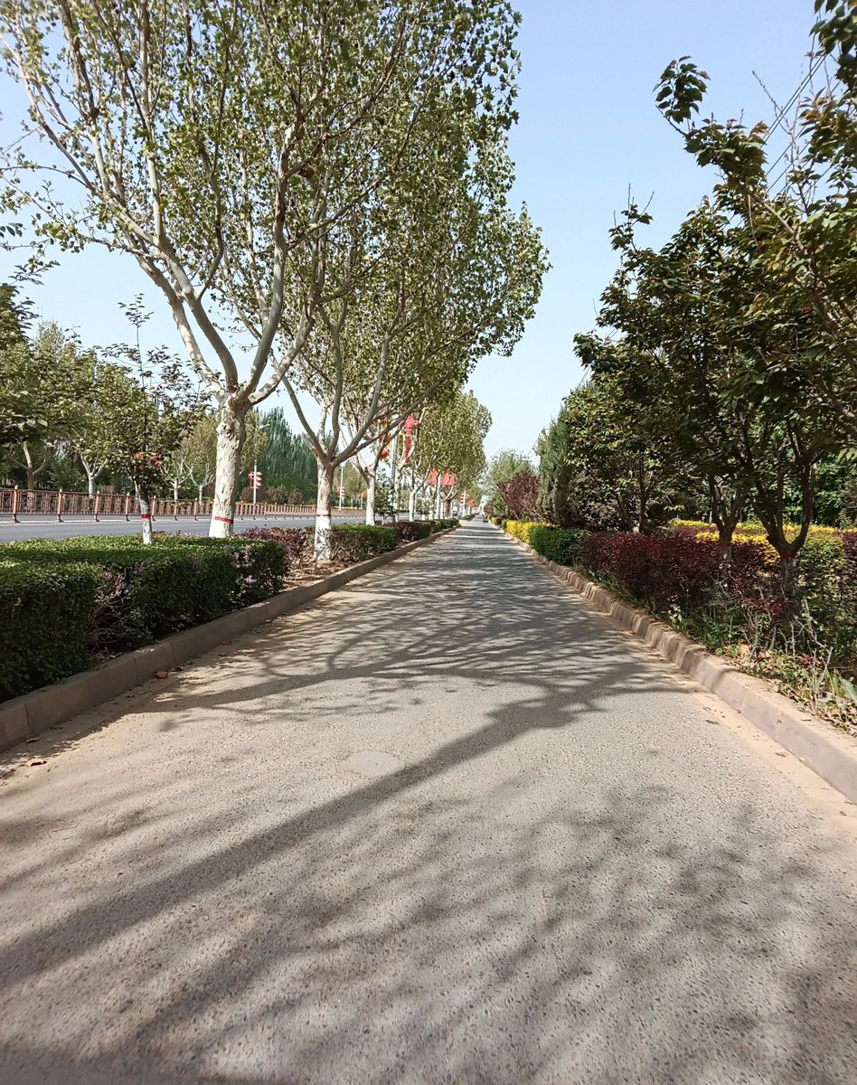GoEmmi's tweet photo. Enjoy the crisp autumn breeze and golden leaves today—perfect for a walk with a hot coffee in hand! https://t.co/s4yfFiD93e