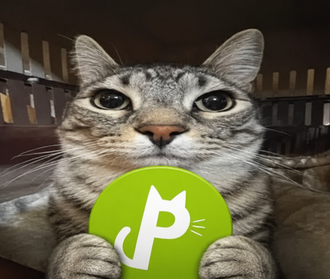 PURRonRH's tweet photo. motion detected

PURR https://t.co/HM3RxygBc1
