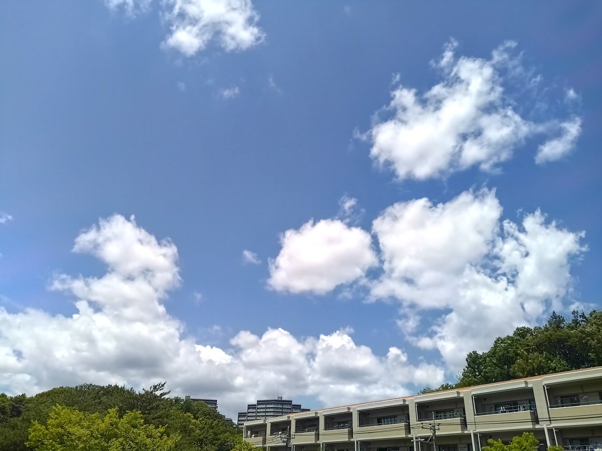 peta08098313's tweet photo. ≪日本全国の皆さま≫
今年も大自然のプレゼント！
︵︵︵︵︵︵︵︵︵︵︵︵︵︵
　低温サウナが全国的に無料
　　大自然の贈り物
︶︶︶︶︶︶︶︶︶︶︶︶︶︶

どお？この考え方？ww https://t.co/8CV1DnTR8Y