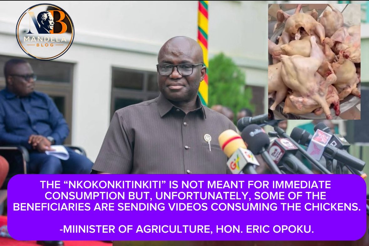 DavidAdombxil's tweet photo. The ” NKOKONKITINKITI” is not meant for immediate consumption but unfortunately, some  of the beneficiaries sent me videos consuming the chickens .

- MINISTER OF AGRICULTURE, Hon Eric Opoku.

Full video in the comments section !! https://t.co/JtverqIBAJ