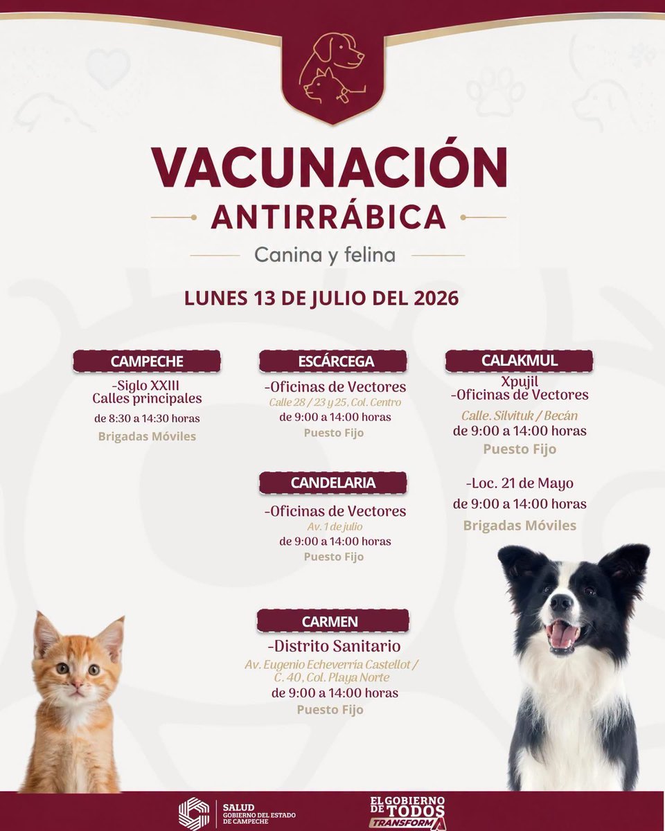 laRepublica_p's tweet photo. Este lunes 13 de julio, las brigadas móviles recorrerán las calles de varias colonias de los municipios de Calakmul y Campeche, no te olvides llevar a vacunar a tus mascotas contra la Rabia. Si lo prefieres acude a los puestos fijos ubicados en Escárcega, Candelaria y Carmen. https://t.co/t90jJpYnTD