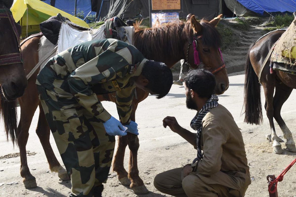 BSF_Kashmir's tweet photo. #BSF Veterinary Team is providing dedicated medical care to the animals supporting the Shri Amarnath Ji Yatra &amp; ensuring the well-being of these companions, enabling a safe and smooth pilgrimage. 

#AmarnathYatra2026 
#YatraWithBSF https://t.co/KJd4bNwVK8