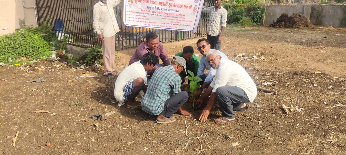 SumulRoot's tweet photo. Sahakar Saptah 2026 – Day 2 & 3 | 30 June & 1 July 2026

Under the guidance of Gujarat Cooperative Milk Marketing Federation @Amul_Coop  (GCMMF), SUMUL Dairy celebrated Tree Plantation and Dairy Cooperative Society (DCS) Cleaning Day across Dairy Cooperative Societies as part of Sahakar Saptah 2026. These activities reflected our commitment to a cleaner, greener, and more sustainable cooperative movement while encouraging environmental stewardship and community participation.

@MinOfCooperatn  

#SahakarSaptah2026 #GCMMF #SUMULDairy #TreePlantation #CleanDCS #Cooperation #Sustainability #GreenInitiative #DairyCooperatives #FarmerFirst