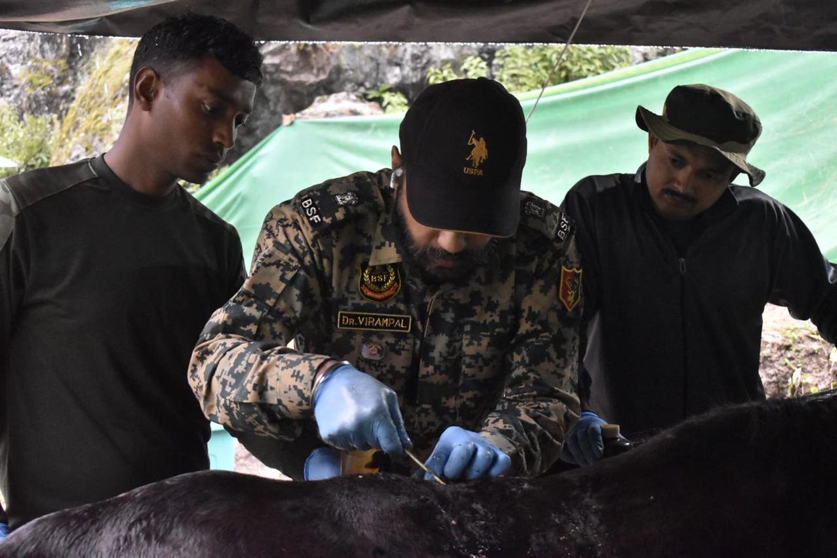 BSF_Kashmir's tweet photo. #BSF Veterinary Team is providing dedicated medical care to the animals supporting the Shri Amarnath Ji Yatra &amp; ensuring the well-being of these companions, enabling a safe and smooth pilgrimage. 

#AmarnathYatra2026 
#YatraWithBSF https://t.co/KJd4bNwVK8