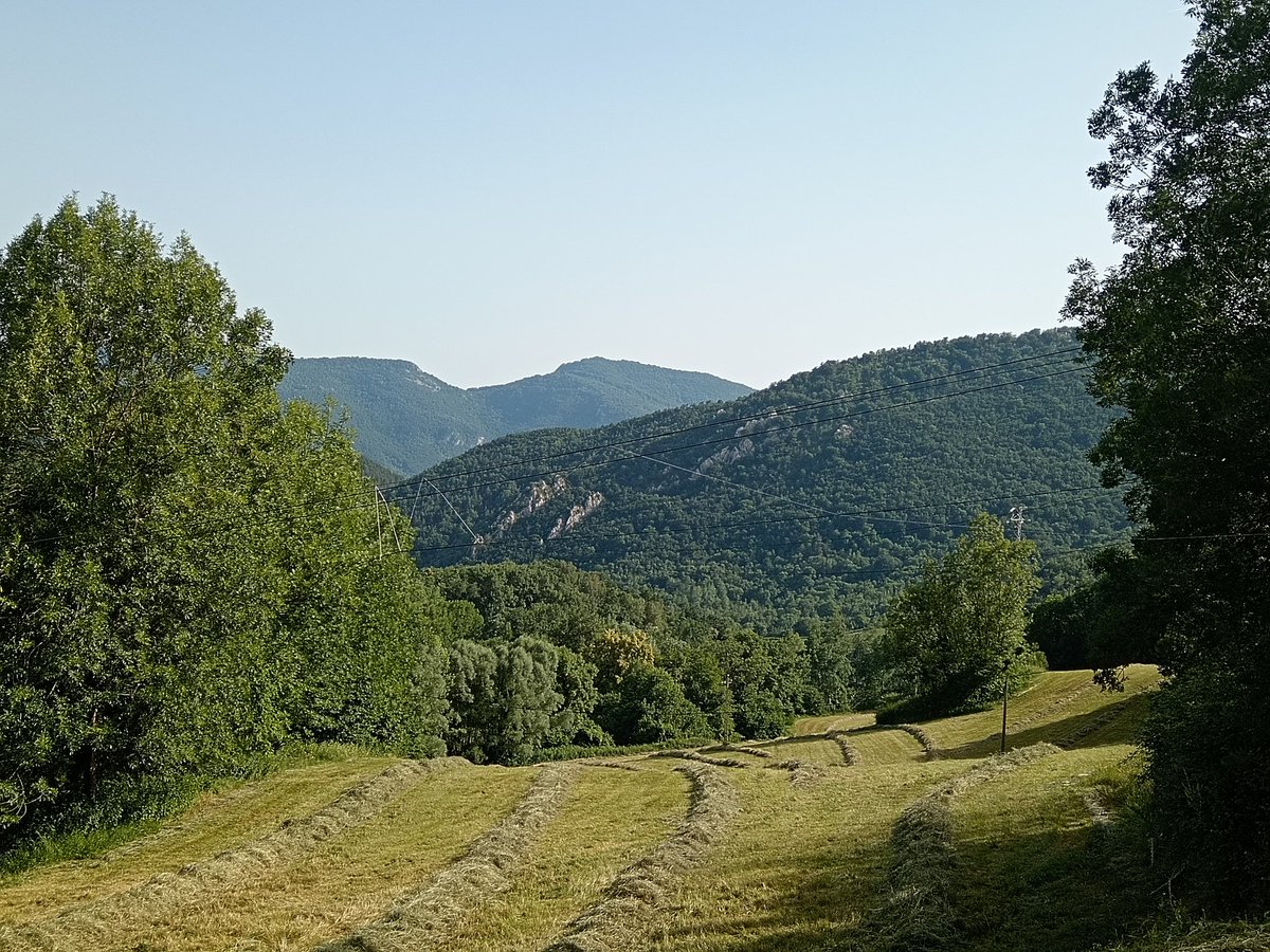 xaiecologic's tweet photo. Som només petites Illes de resistència davant la immensitat d'un bosc continu i deixat que s'ho empassa tot.
Venim de mil batalles:
Contra el despotisme de l'administració,contra un cels que han embogit..
A Palau no en saben res del nostre valor, però ja ens ho sabem nosaltres.. https://t.co/EsW5Kjtaok