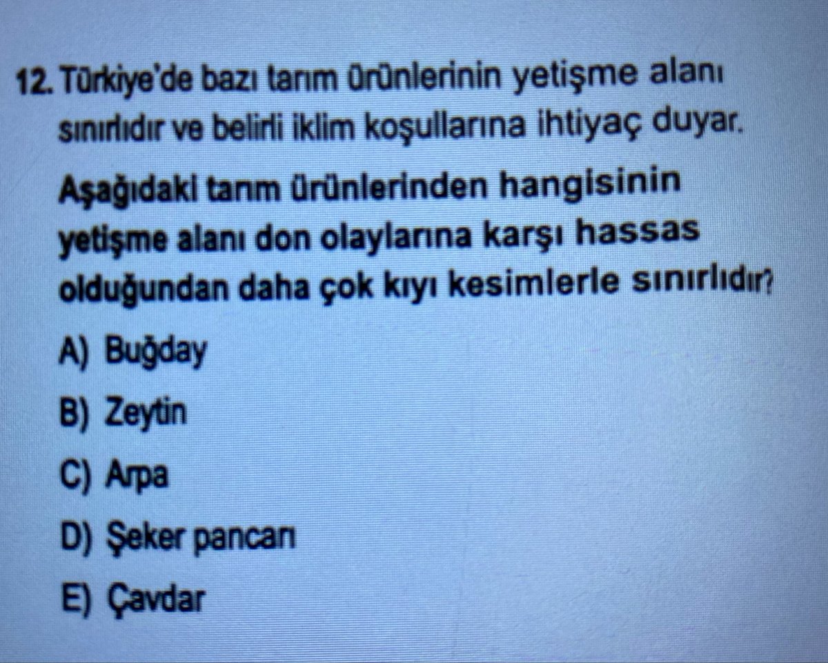 şᴇʏᴍᴀ tweet media