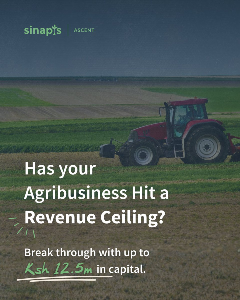 sinapisgroup's tweet photo. You’ve built a successful agricultural enterprise generating over KSH 30 million annually, but lately, growth has stalled. Perhaps market demand is harder to generate, or your processing capacity is maxed out, your distribution is strained, or your cash flow is constantly tied up in inventory.

You haven't hit the market limit; you've hit the limit of your strategy and current operational capabilities.

Scaling a fast-growing agribusiness past this point requires a massive shift.
You cannot break this ceiling with just more founder hustle. You need an empowered leadership team, bulletproof systems, and serious financial
backing.

The Sinapis Agribusiness Ascent Cohort is an exclusive advisory program designed strictly for founders like you. We work with your executive team to remove constraints on growth, build investment readiness, and unlock up to KSH 12.5M in integrated debt capital, while also helping you effectively engage with other investors.

Submit your application here:

https://t.co/jB4Oq2YYvY       

 #Sinapis #AgribusinessKenya  #KenyaAgriculture  #GrowthCapital  #ScaleUpBusiness #Agribusiness #Agtech  #BusinessAccelerator
