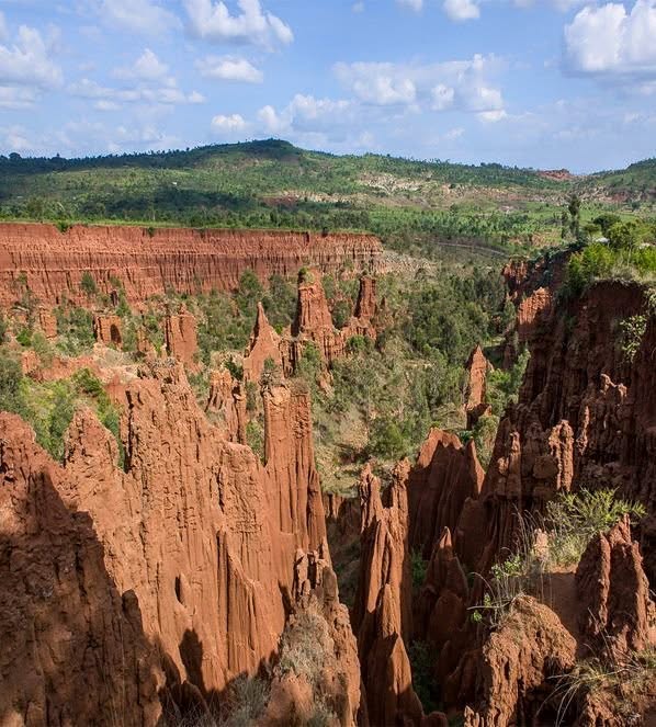 Exoticethiopian's tweet photo. Earth's Real-Life "New York": The Ultimate Ethiopian Expedition 🇪🇹
https://t.co/W1RU1YP25U
#VisitEthiopiaTours #LandofOrigins #KonsoNewYork #TravelEthiopia #UNESCOWorldHeritage #BeautifulDestinations #BucketListTravel #TravelDocumentary #ExpeditionEarth #ExploreEthiopia #BookNow https://t.co/79bV1psoAb