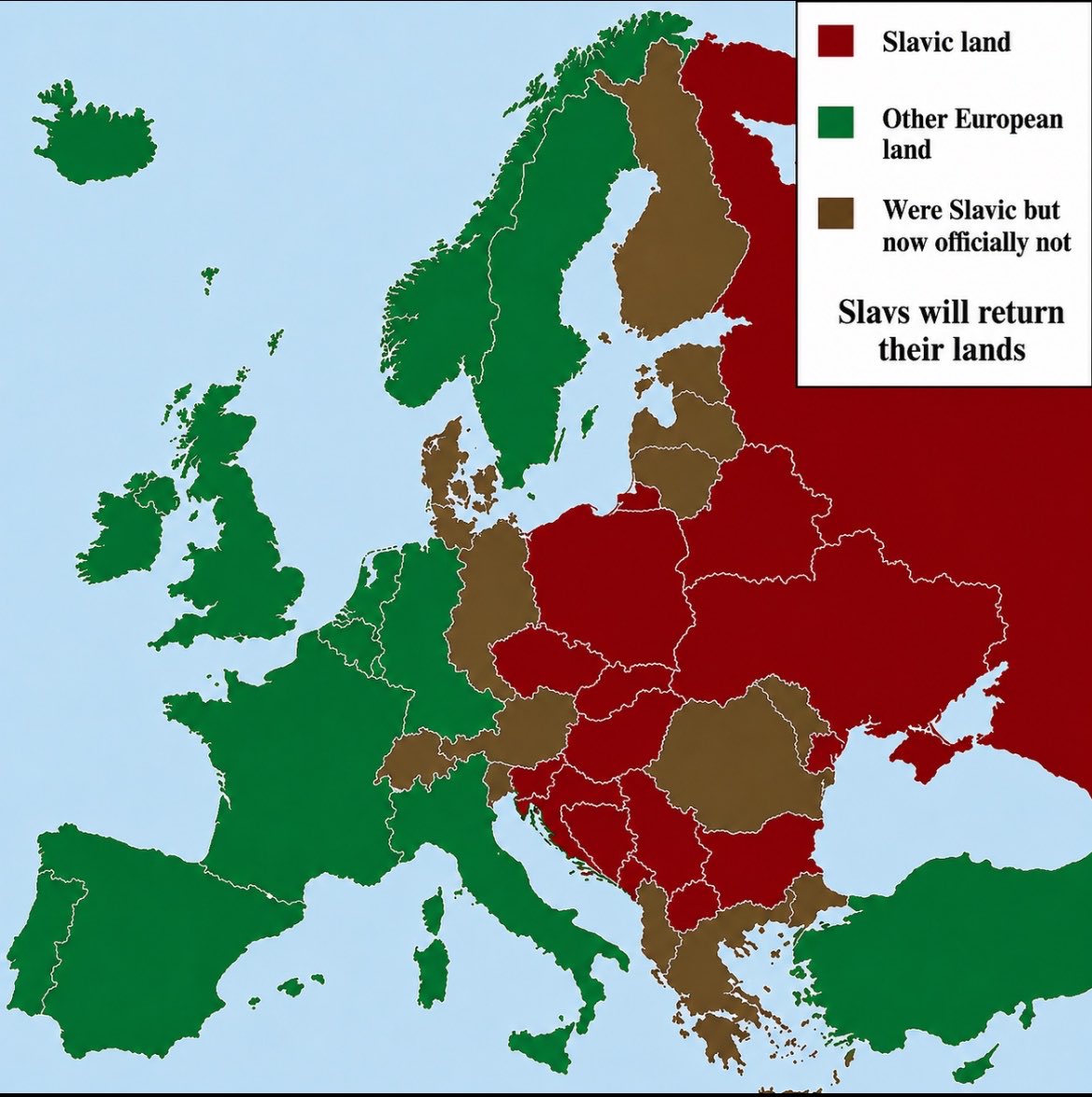 Slavic Networks tweet media