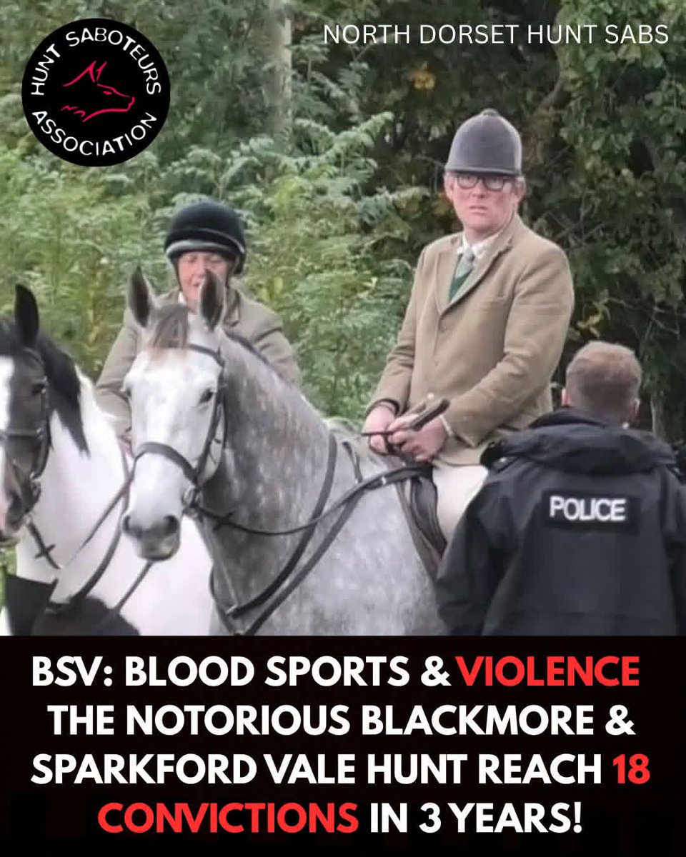 HuntSabs's tweet photo. In the last 3 years the Blackmore & Sparkford Vale Hunt (BSV) have racked up a total of 18 convictions made up of an array of offences, ranging from Actual Bodily Harm (ABH) to hunting convictions. 

This list of convictions provides an extensive picture of the spectrum of violence involved in hunting. These are organised crime groups who will go to any lengths to chase and kill foxes, while all the time claiming they’re a ‘trail’ hunt. 

The BSV alone are the perfect example of a hunt who cannot keep up the pretense of ‘trail’ hunting and whose continuous criminality completely contradicts anything the Countryside Alliance or British Hounds Sports Association says. 

Read more in our latest article 👉https://t.co/NsS5Q7N3qz
