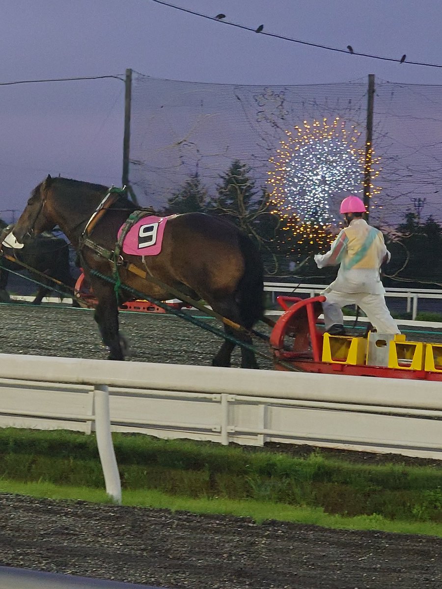 200kemono's tweet photo. 番外編、帯広競馬場のばんえい競馬に行ってきた！
1tのソリを引いて坂を駆け上がる、大迫力のばんえい競馬
日本唯一なので、国内外の観光客も多く空気は穏やか、鉄火場のピリつき、みたいなのはほぼ無し
ふれあい動物園や飲食店、馬の博物館など、レース以外の時間も楽しめるよ https://t.co/izJ5rVr4ZJ