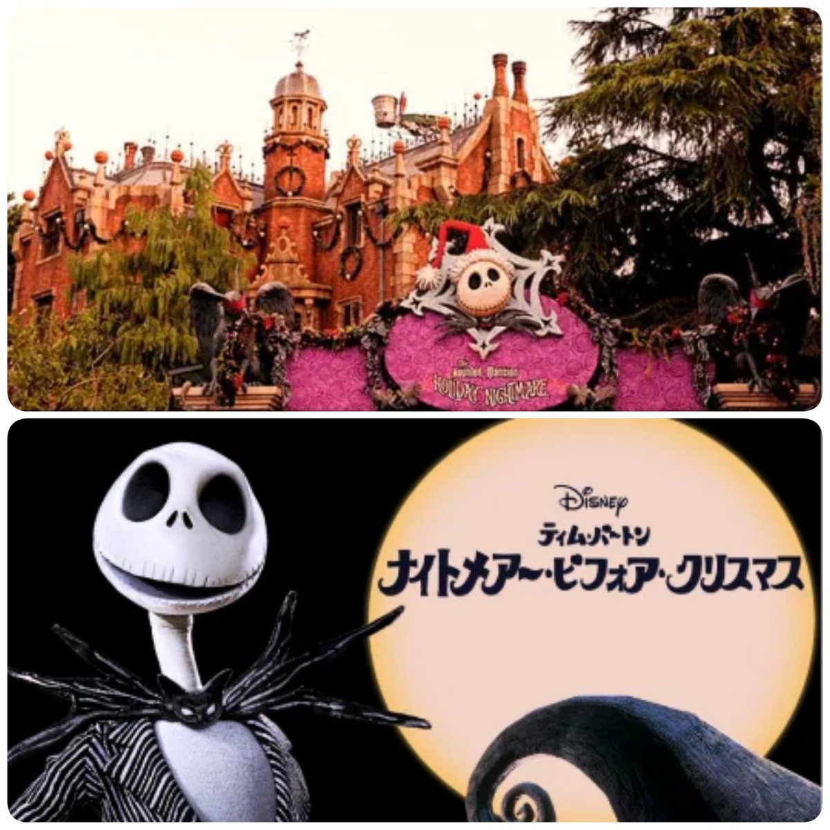 tdr_415's tweet photo. ━━━━━━━━━━━
#東京ディズニーリゾート

✎𓂃9月15日〜1月7日
ホーンテッドマンションでは、
今年も「ホリデーナイトメアー」を実施🎃❄

✎𓂃9月18日～10月15日
イクスピアリでは「ナイトメアー・ビフォア・クリスマ」を上映するよ⊹˚.

https://t.co/EpcksAeHOy
#TDR_info https://t.co/hecZ0xXKsF