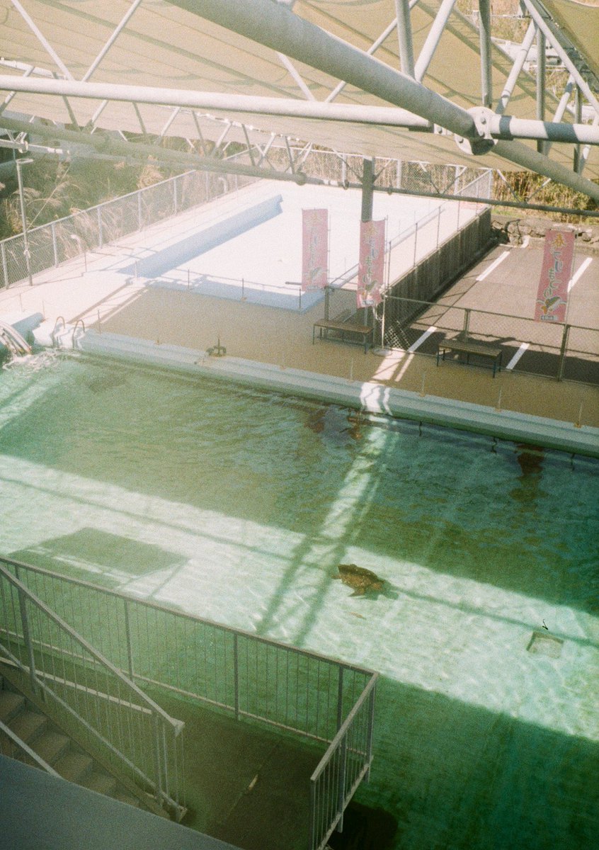 mechapeko's tweet photo. #film 
室戸廃校水族館 https://t.co/3I5t9xSt1v