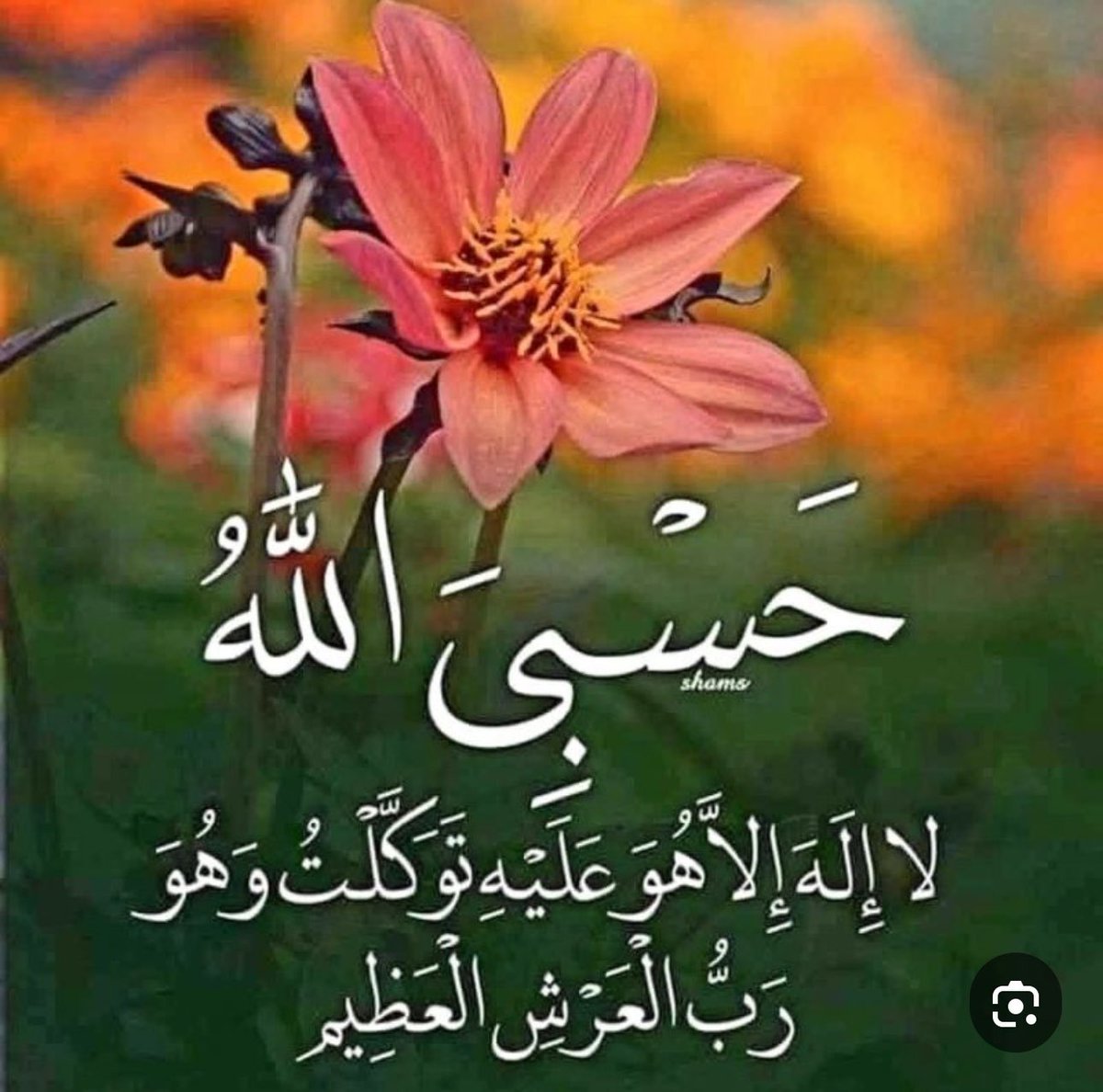 weeed876's tweet photo. #صباح_الروقان

﴿وَأُفَوِّضُ أَمْرِي إِلَى اللَّهِ ۚ إِنَّ اللَّهَ بَصِيرٌ بِالْعِبَادِ﴾

صباح اَلسَّلاَمُ  والسعادة  والجبر  والرحمات  
لقلبي… ولقلب كلِّ من سلَّم أمره لمولاه فاطمأن. 🕊️💚

سنة الضحى  شكر  وتوبة  🍃🕊️ https://t.co/enwK6OKjvE