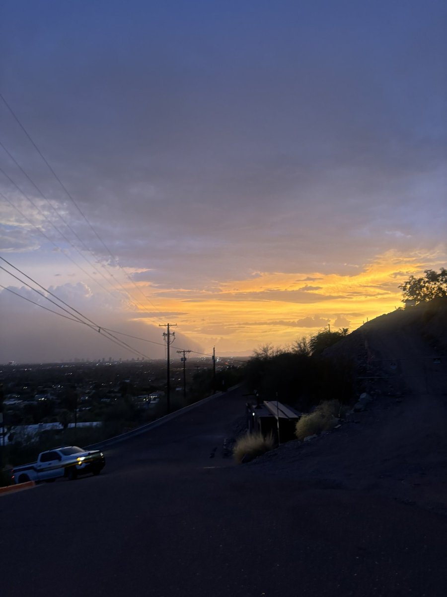 miaossimi's tweet photo. 🌵🏜️ https://t.co/V0j4aIE0ct