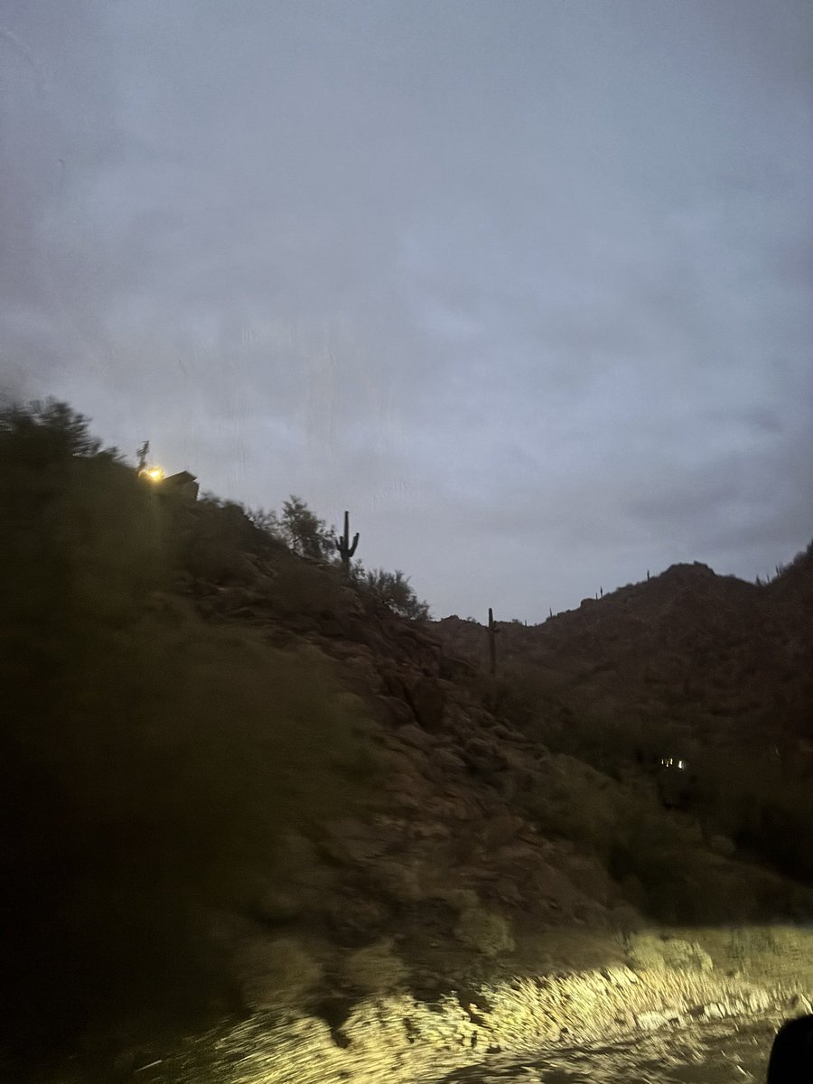 miaossimi's tweet photo. 🌵🏜️ https://t.co/V0j4aIE0ct