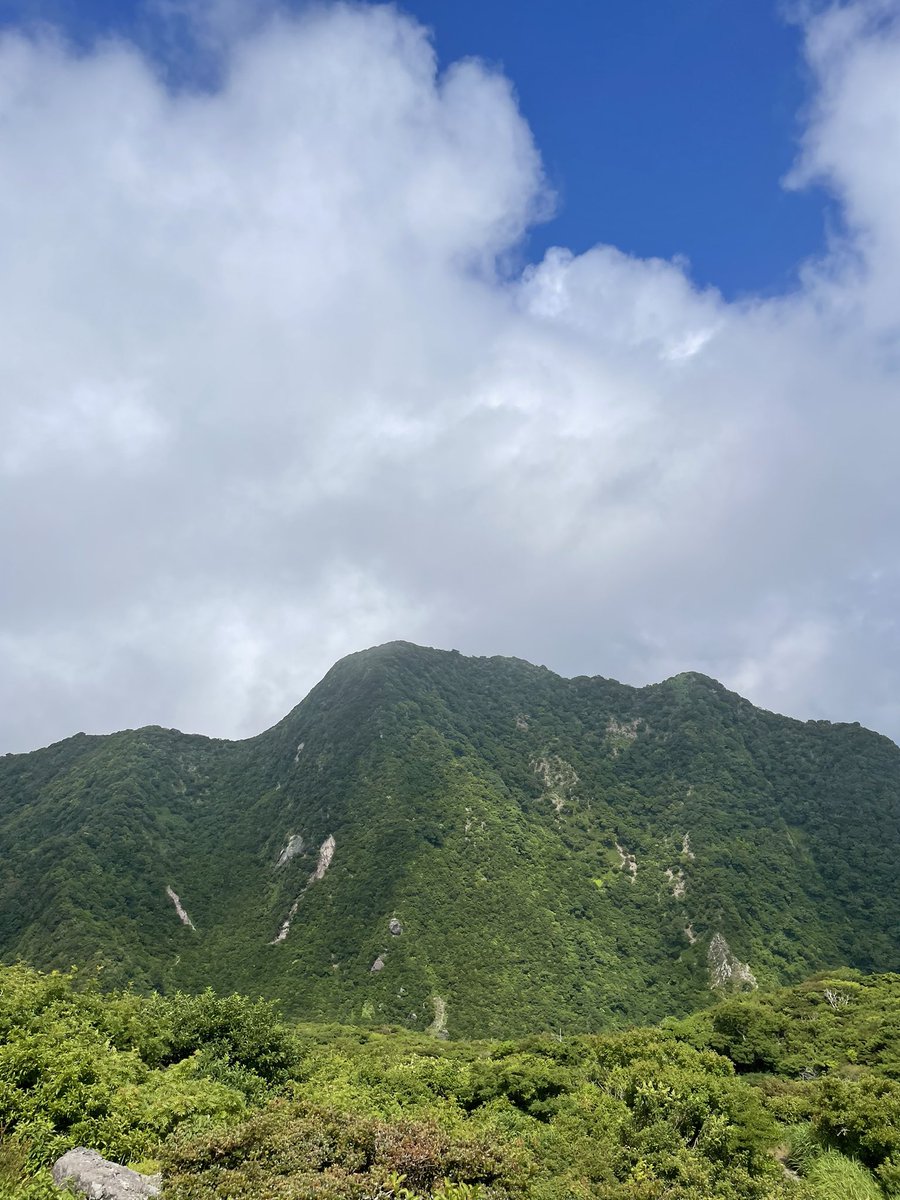 chisa180908's tweet photo. いつもソロなので・・
熊が居ないという安心感😅
珍しくレンタカーなしのバスとタクシーと船、電車で巡るのんびり熊本〜島原旅。（羽田〜熊本は飛行機✈️
地元の方々とお喋りできるしとても楽しい。 https://t.co/DeefAkOC7f