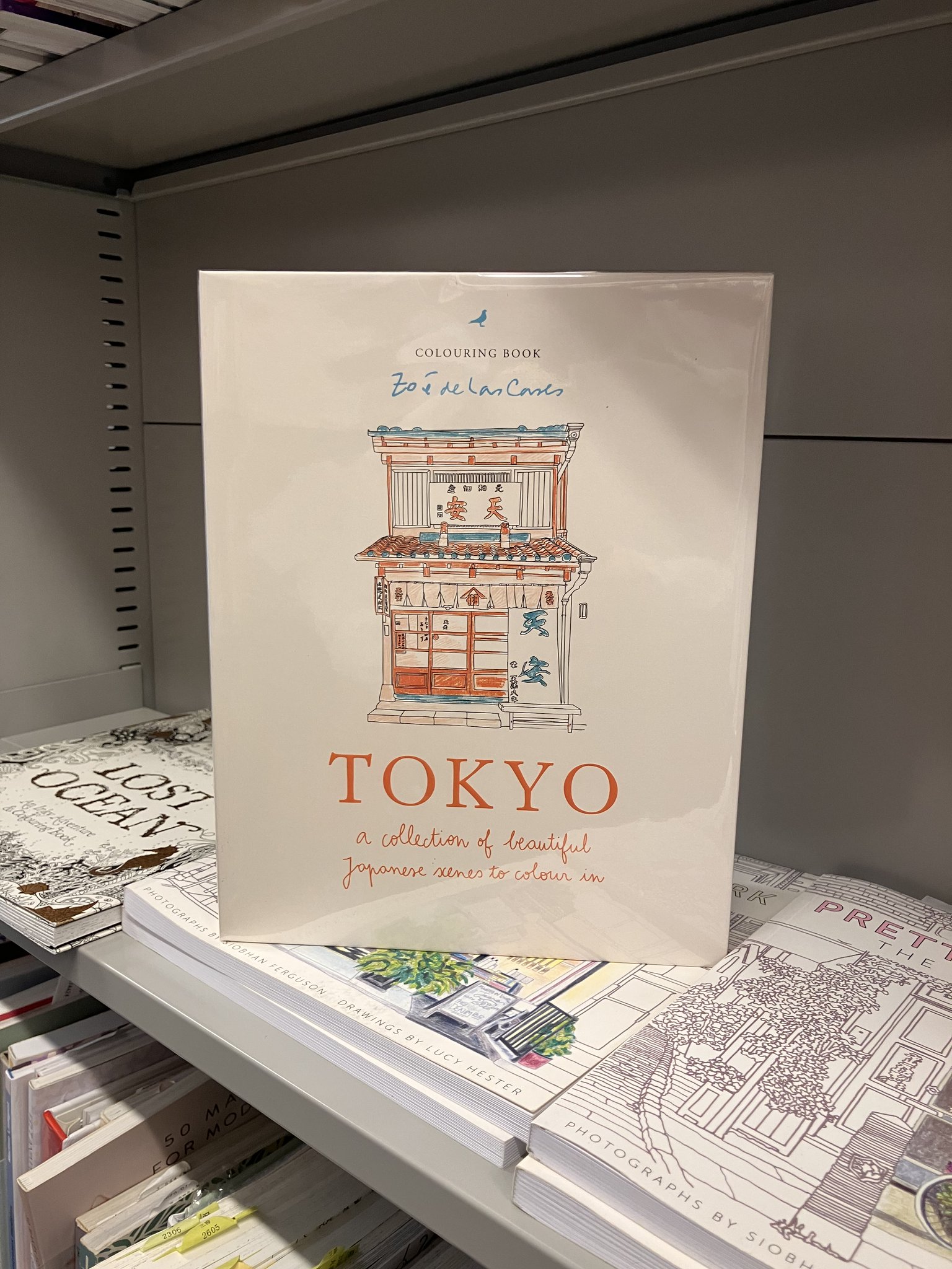 丸善丸の内本店 on X: 