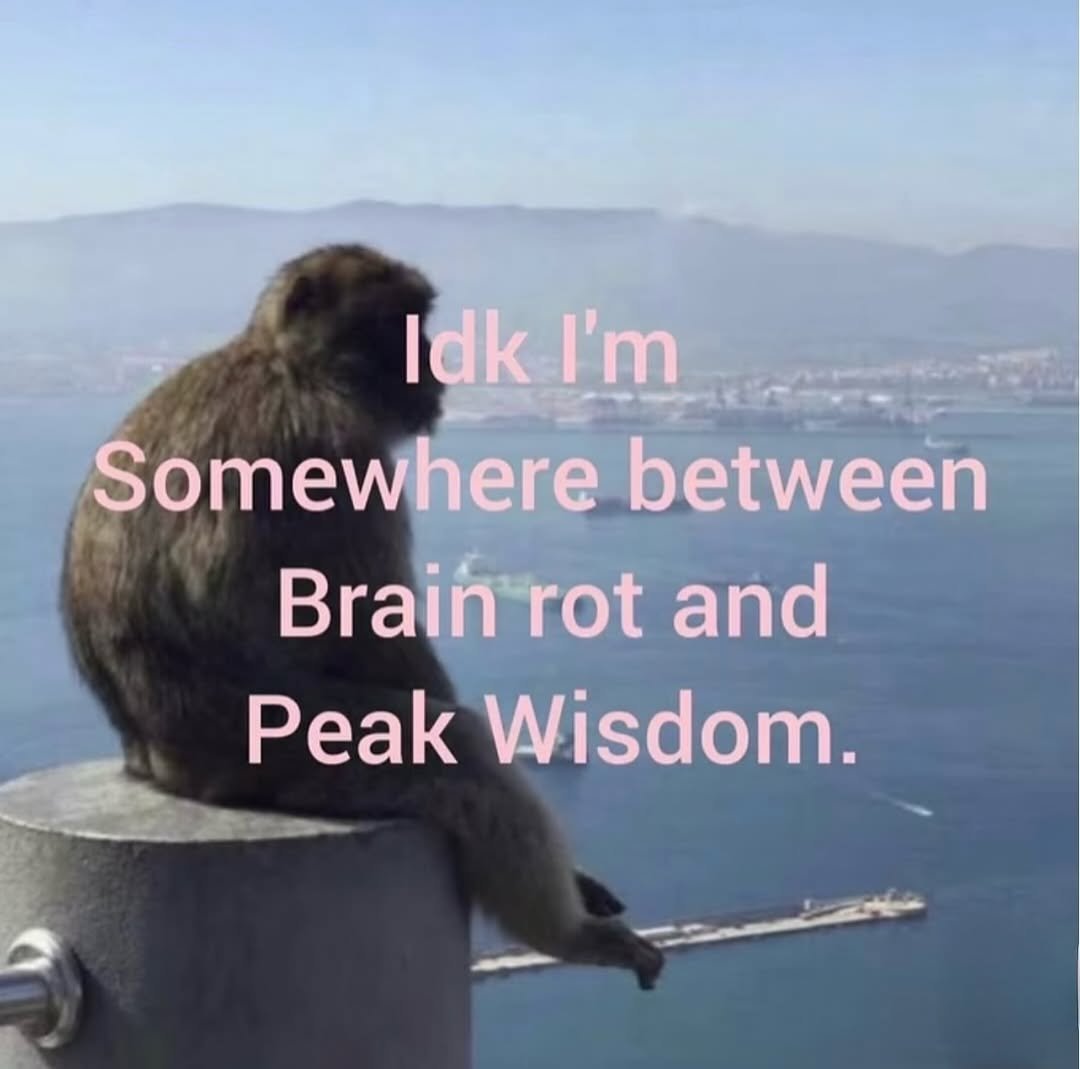 Intellctualmimi's tweet photo. Mujhe kya mai toh opportunist hoon 🐒 https://t.co/VbD0nyhGVm