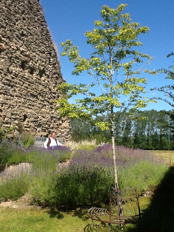 BeingBoycie's tweet photo. I wonder if he still sits under the old transept wall,sniffing the lavender and looking out across the valley. https://t.co/txp042vWbP