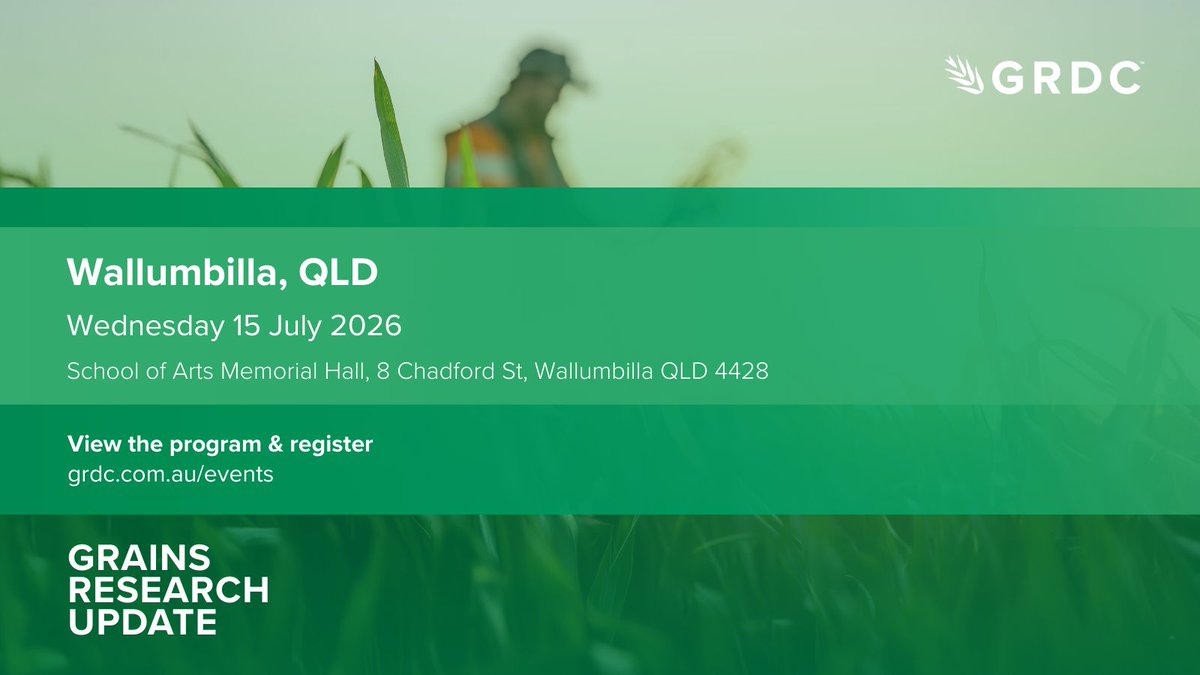 GRDCNorth's tweet photo. The #Wallumbilla combined GRDC Grains Research Update/NGN Forum is on tomorrow. Join us for the latest grains insights and the chance to raise local priorities for future research. 8:30am for a 9am start, finishing at 3pm. #GRDCUpdates
Full details: https://t.co/c0NDQBanyH https://t.co/wIHbgetyHY