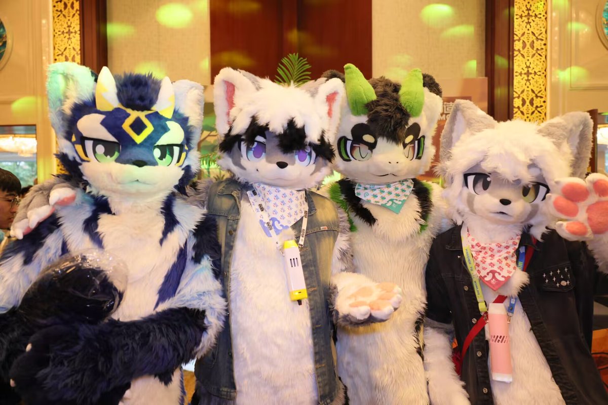Mukhoothecat7's tweet photo. From Furmony to Harmony~ https://t.co/hrh8adwp6X